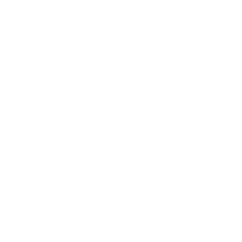 Network & Information Security Directive (NIS2)