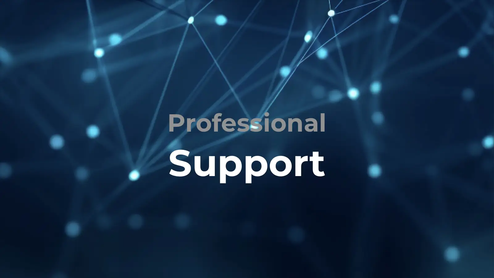 Professional Support